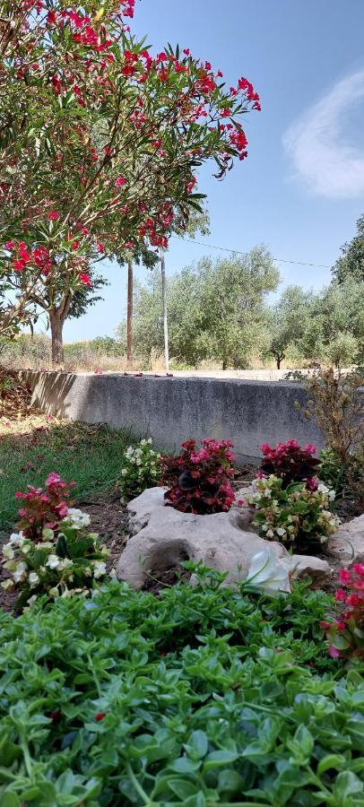 Apartman Marin - Zadar Luaran gambar